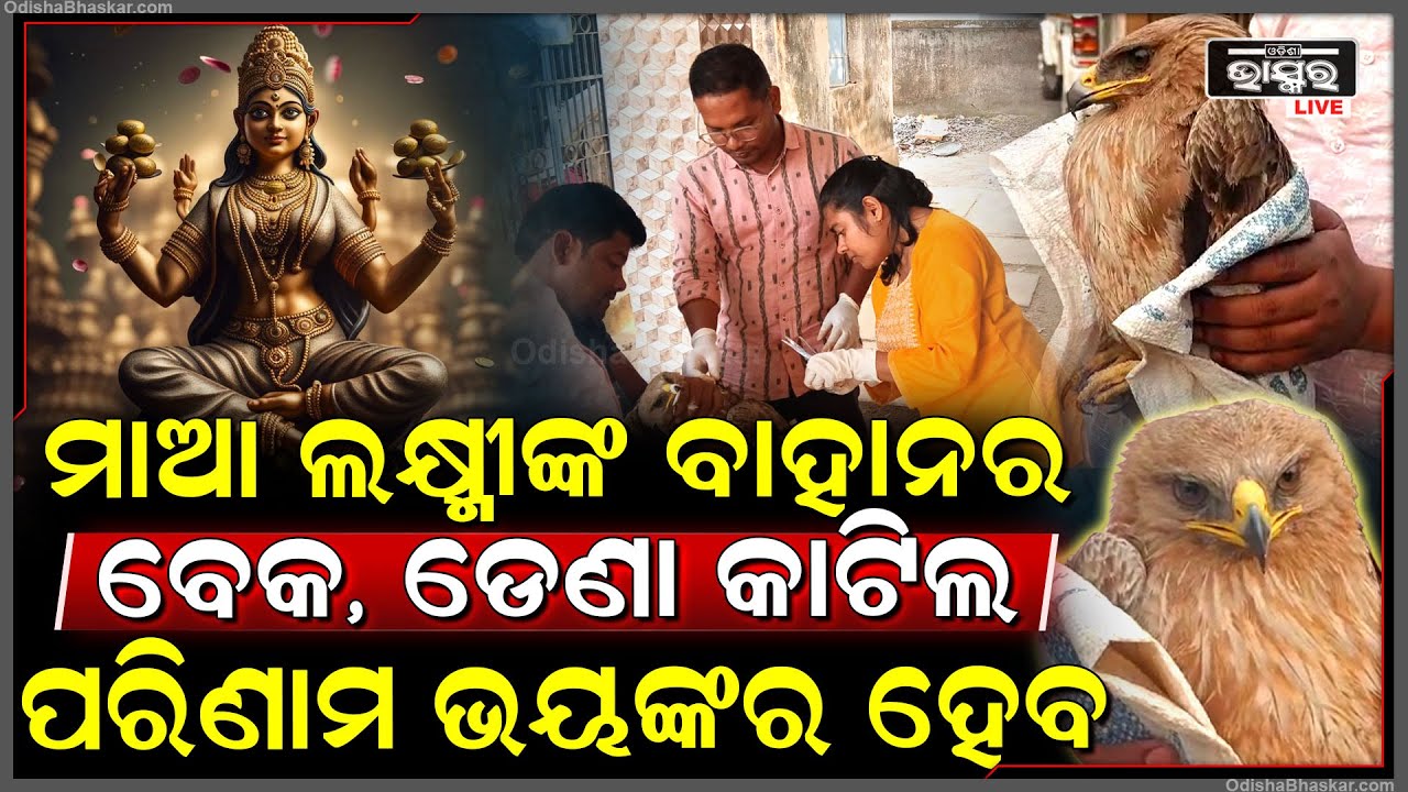 ମକର ସଂକ୍ରାନ୍ତିରେ ଅଘଟଣ, ଗରୁଡ଼ ଆଖିରୁ ଝରୁଛି ଲୁହ | ଚିକିତ୍ସା ପାଇଁ ପାଇଲା ନୂଆ ଜୀବନ