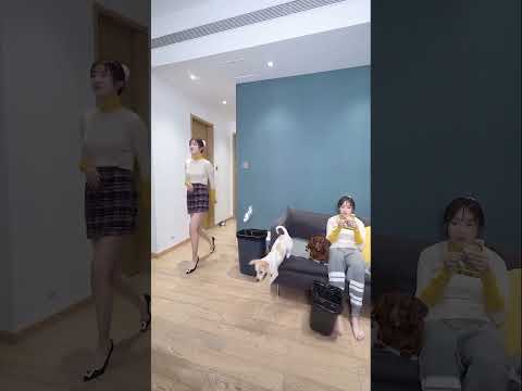 不小心砸到小狗，小狗无妄之灾...#跑車 #大熱門 #車文化 #電車