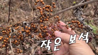 관절염에는 세종류 약초를 섞어 사용 하시면 효능 엄청 좋음.