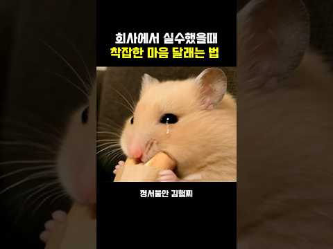 그딴 건 없다