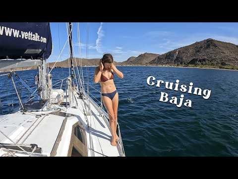 Cruising Baja we find an injured dolphin!: Chuffed Adventures S7ep34