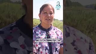 «Абай жолы» әлемде ең ұзақ жазылған шығармалардың бірі