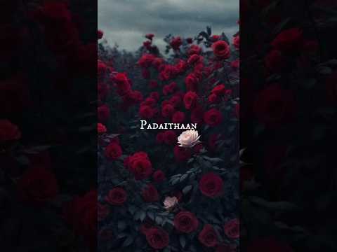 Enna vilai azhagae 🌹| AR Rahman]