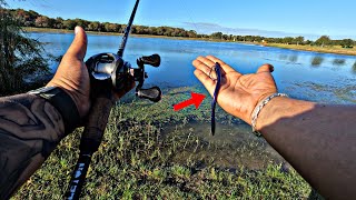 FISHING For Chunky Bass in THIS Loaded Pond (Bank Fishing)