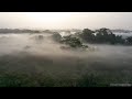 Ecosystem Mapping and Conservation in Liberia