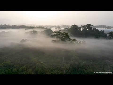 YouTube video thumbnail: Mapping Liberia’s Ecosystems to Understand Their Value