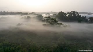 YouTube video thumbnail: Mapping Liberia’s Ecosystems to Understand Their Value