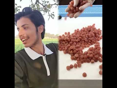 Best Aloo Party 💀😂 | Mini Vlog #shorts #minivlog #ashortaday #vlog #tranding #cats #cat