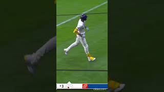Masyn Winn Defensive Highlights 2024 #baseball #mlb #cardinals #defense #goldglove
