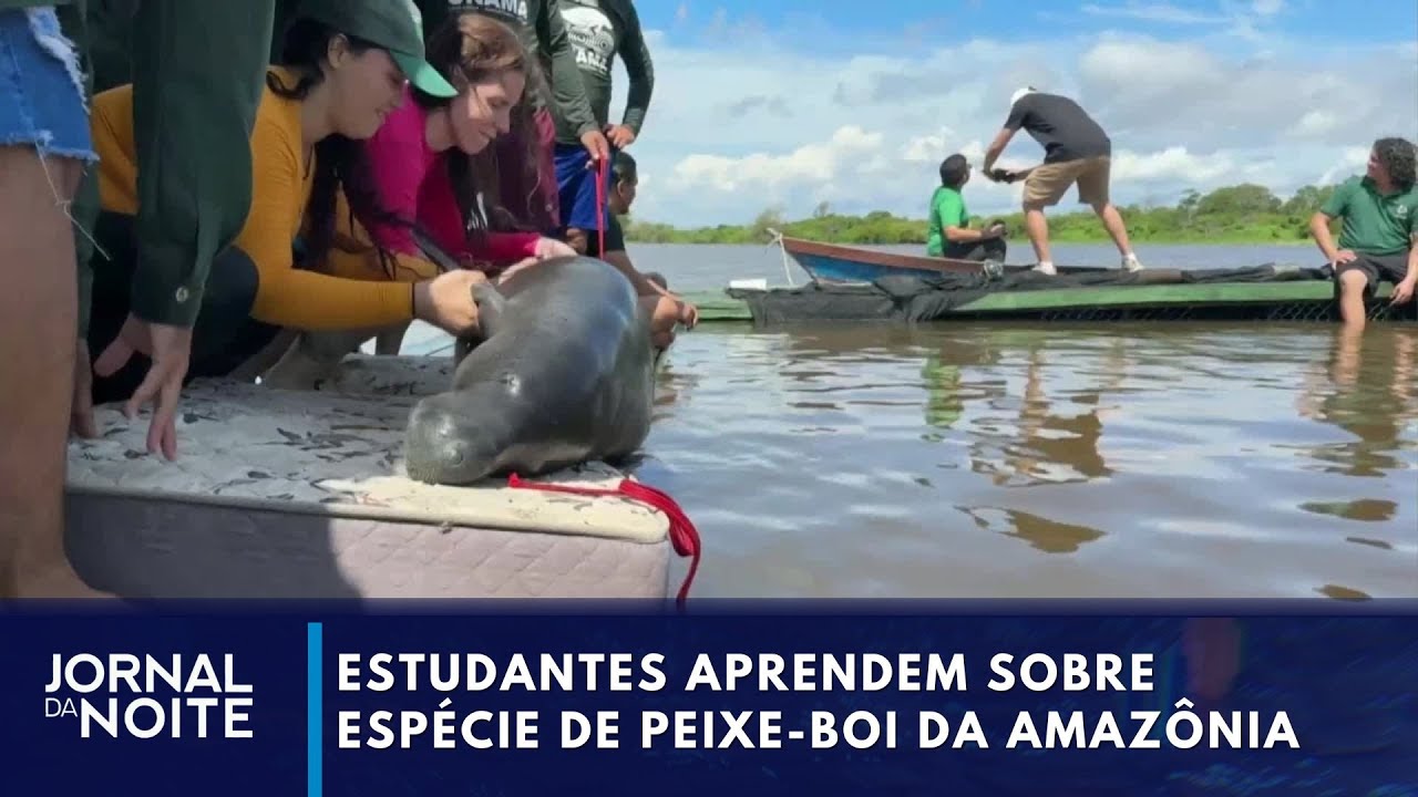 Estudantes de veterinária aprendem sobre espécie de peixe-boi da AM