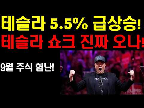 테슬라 5.5% 급상승! 진짜 테슬라 쇼크 오나? 나홀로 급등한 이유는 뭘까? 로보택시 또 확장! 자율주행 마일리지 미쳤다! 톰리의 9월달 미국주식 전망! 9월 10월 큰상승 오나