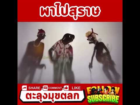 พาไปสุราษ - หนังตะลุง
