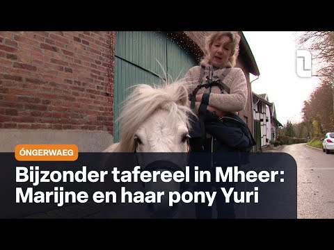 Óngerwaeg in Mheer: Ik spreek pony!