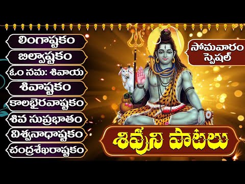 సోమవారం రోజు తప్పక వినాల్సిన శివుని పాటలు | MONDAY LORD SHIVA SONGS - BHAKTI SONGS