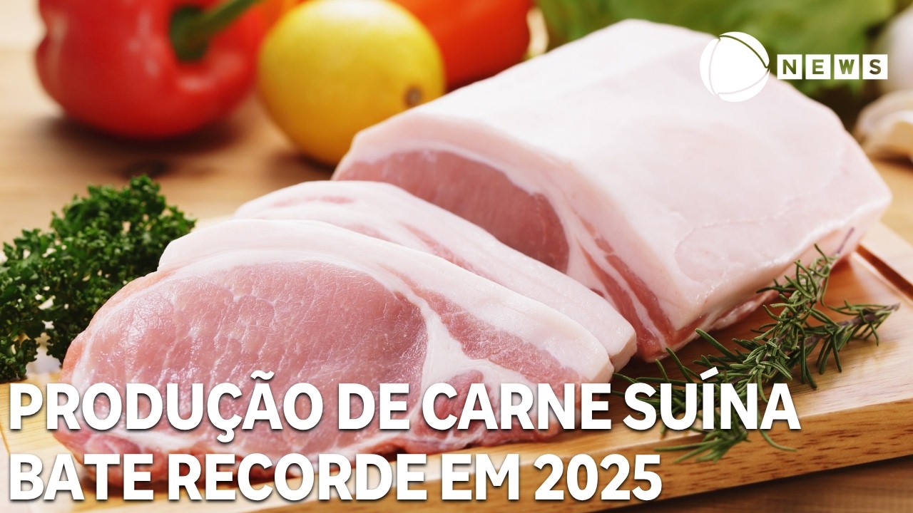 Produção de carne suína bate recorde em 2025