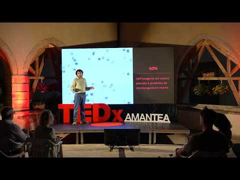 Le radici nascoste | Gianni Jacucci | TEDxAmantea