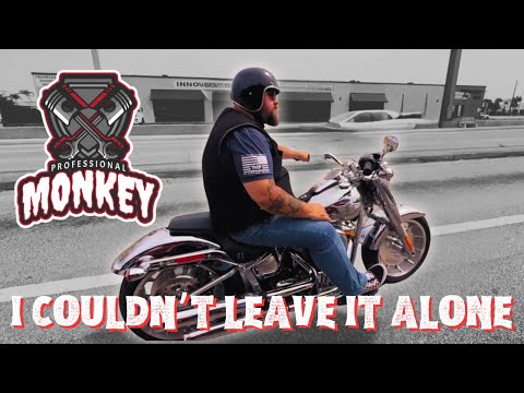 Harley Davidson Gray Ghost Fat Boy - Proper Pipes The First Day!