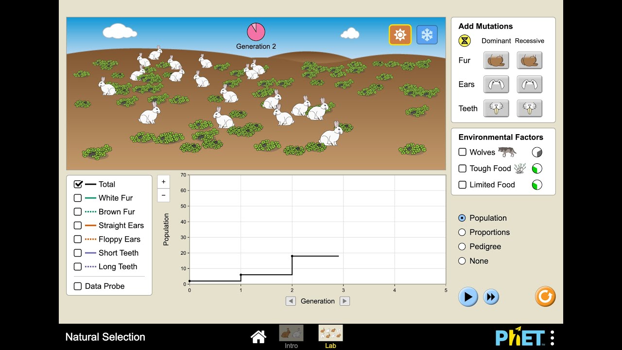 Virtual Lab Natural Selection Answer Key: Unraveling the Mysteries of Evolution