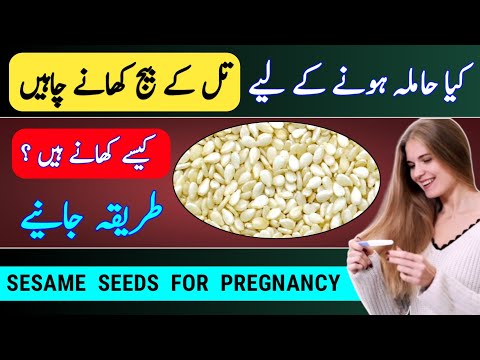 Sesame Seeds Uses for Pregnancy| Sesame Seeds Uses for Fertility |Pregnancy Diet |Fertility Foods