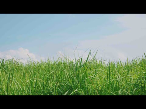 みんなの「何とも言えない気持ちになる.あるある」教えてくれ