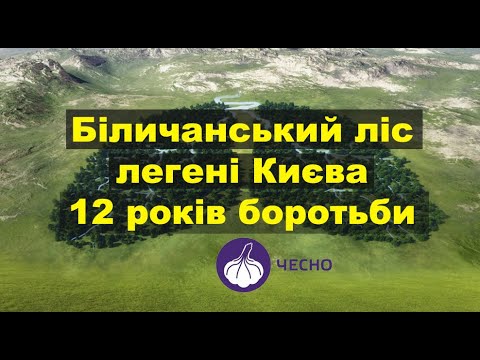 12 років боротьби за Біличанський ліс — Рух ЧЕСНО
