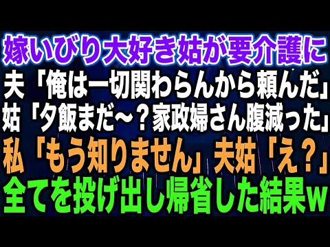 【スカッとする話】嫁いびり大好き姑が要介護に夫「俺は一切関わらんから頼んだ」姑「夕飯まだ〜？家政婦さん腹減った」私「もう知りません」夫姑「え？」全てを投げ出し帰省した結果