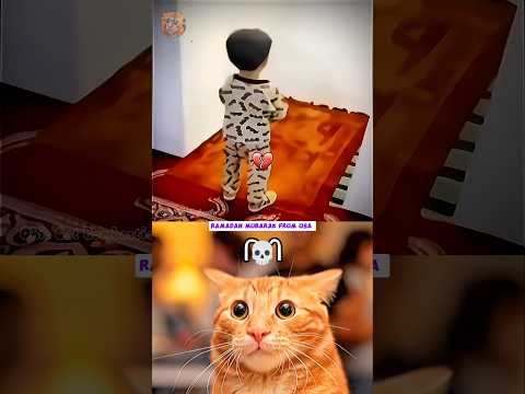 BRO FLIPPED TO JANNAH 🗿 #funny #cat #dance #shorts