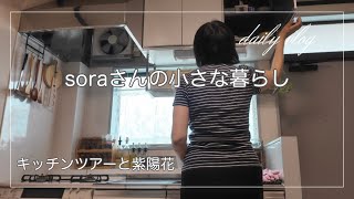 去年見そびれた紫陽花に会いに/60代1人暮らしvlog/犬と猫と暮らす6月の日　　#ひとり暮らし  #犬と猫のいる暮らし 