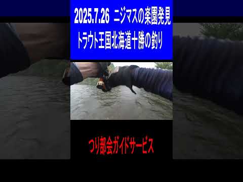 2025.7.26　50UP捕獲成功　トラウト王国北海道十勝の釣り　つり部会ガイドサービス