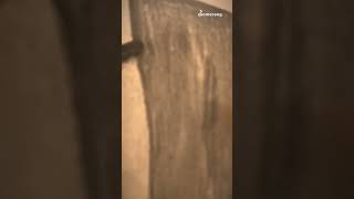 achtet nicht auf die Schrift