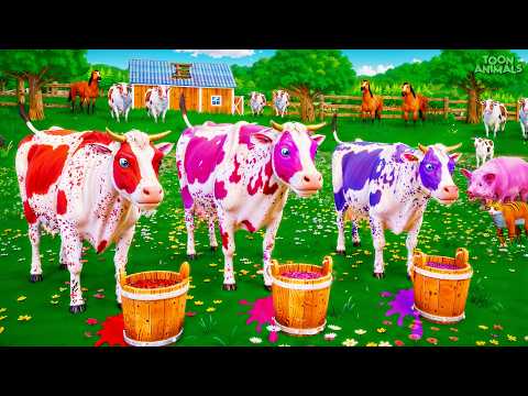 Color Cows Go Wild in Flavor Guess Challenge! Funny Cows Adventures | Toon Animals
