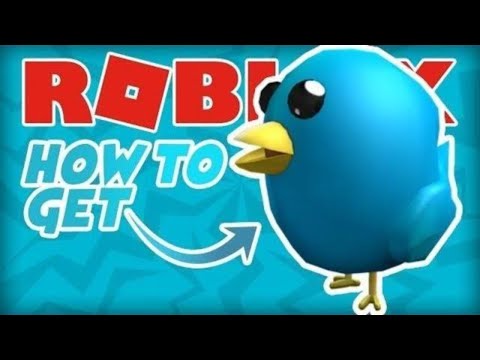 Roblox Code For Bird 07 2021 - roblox the bird says code