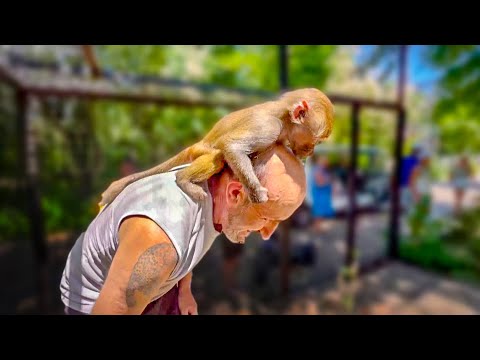 Люся с Соней помогают папе Владу УБРАТЬ МУСОР в вольере!
