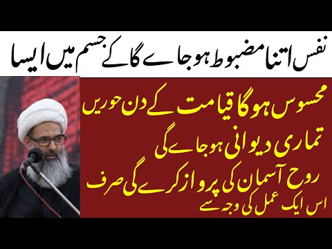 Nafs Itna Mazboot Hojaye Ga Hoorein Dewani Hojaye Gi Srf Is Amal Ki Wja Se.! Allama Anwar Ali Najafi