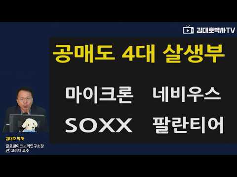 마이클버리 뉴욕증시 살생부 <strong>리스트</strong> ... #김대호박사 #마이크론 #네비우스 #SOXX #팔란티어