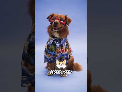 Oltayla Gelen Büyük Sürpriz ! 😍