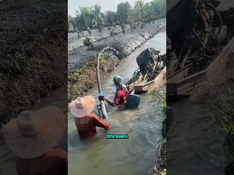Lumpur Kotor Ini Ternyata Bisa Membasmi Gulma!