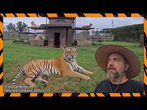 Mucnhie Shenanigans | WATC 987