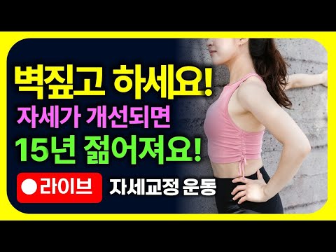 벽에서 해보세요🔥 오십견 없어지고 어깨가 쫙 펴지면서 15년은 젊어집니다!!  [자세교정 운동, 라운드숄더, 어깨충돌증후군]