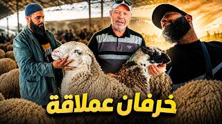جولة في بطواور حي إبن سينا الكبارية تونس خاروف العيد 18/05/2026
