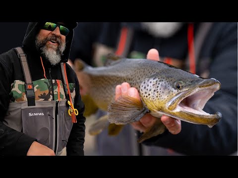 Cheech Wins The Big Fish Challenge! - Fly Fishing