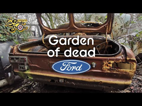 Garden of abandoned classic car wrecks inc mk2 Ford Escorts & mk1 Transits. Carchaeology time!