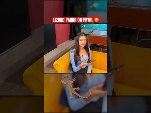 LIZARD PRANK ON @PAYALGAMING 🤣 #shorts #jokerkihaveli