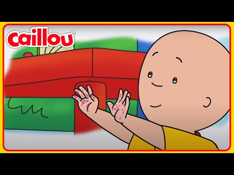 Caillou Krijgt Rommelig | Caillou Nederlands - WildBrain