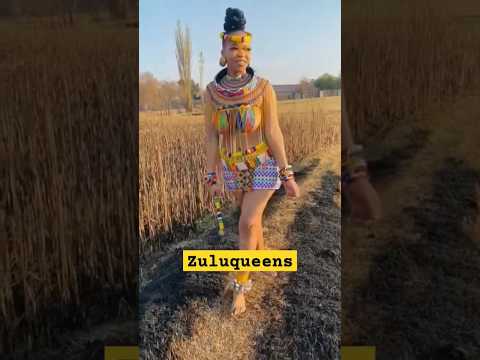 Zulu queen #nature #africa #photography #viral
