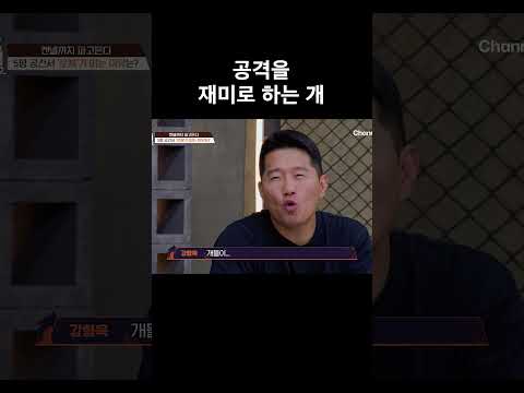 공격을 재미로 하는 개 #개와늑대의시간2 #개늑시2