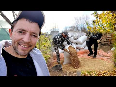 Забор который изменил все ! Возрождаю поместье ,строю забор. Жизнь на хуторе