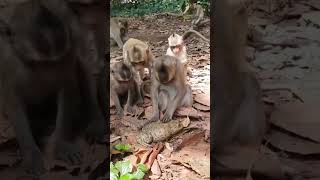 On s'amuse bien avec la grenouille 🐸 🤣. We have a lot of fun with the frog 🐸 🤣.