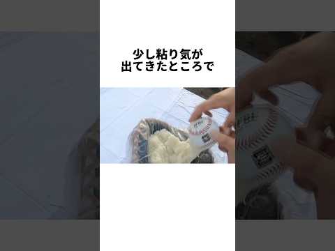 『もち米で剛速球を受けたら餅になるのか』に関する雑学#野球 #プロ野球 #大谷翔平 #徳島インディゴソックス #実験