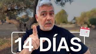 14 días para TRANSFORMAR la relación con tu perro (SIN premios ni castigos)